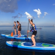 lsup